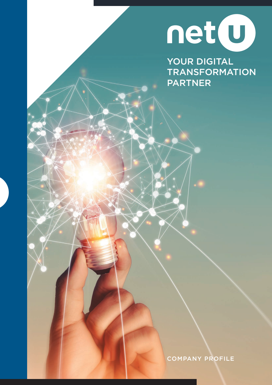 Cover of the NetU Company Profile